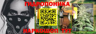 спиды Краснознаменск