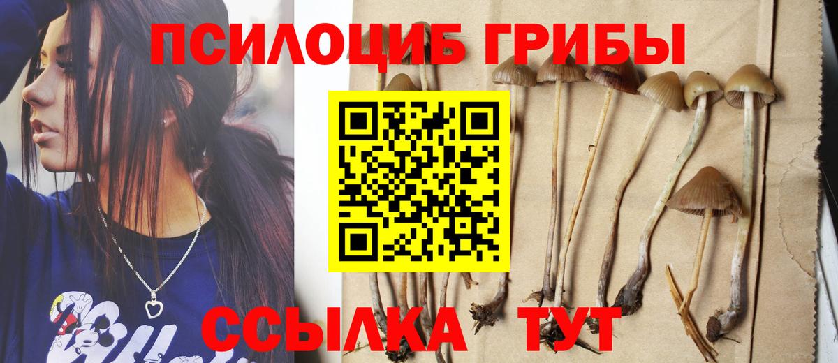 Елец  Псилоцибиновые грибы Magic Shrooms  где найти наркотики  Вход с VPN 