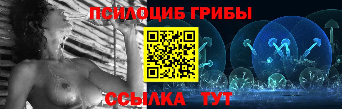 Псилоцибиновые грибы Cubensis Елец